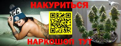 трава Кимры